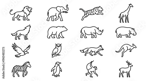 Collection of various wild animal drawings.