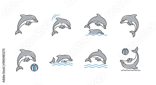 Dolphins in various swimming poses.