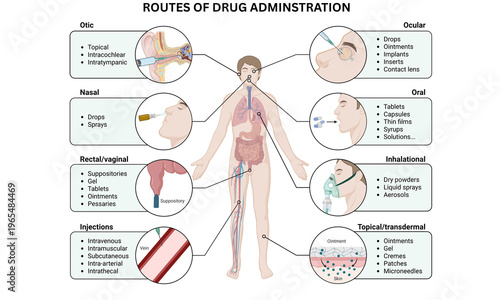 Valokuva Routes of Drug Administration – Human Medicine and Pharmacology Illustration