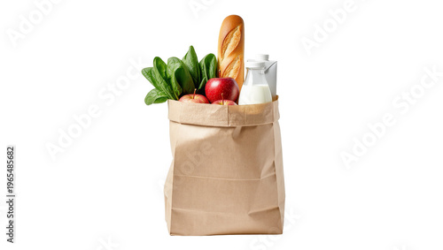 Картината върху платно Isolated paper bag full of fresh groceries, healthy food for home delivery or co