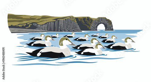 Flock of eider ducks swimming in choppy water near a rocky coastline