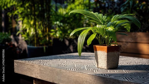 A potted tropical plant sits on a textured tabletop, with a lush, green background