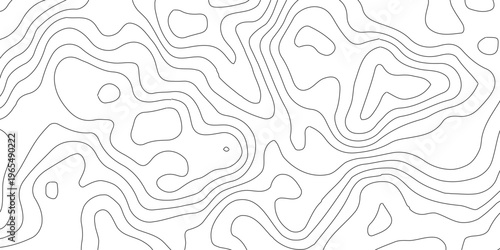 Topographic map lines, contour background, Vector contour topographic map background, Abstract digital topographic contour map concept space geometric strip grid line, vector illustration,