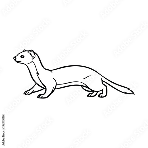 Line art illustration of a weasel in profile, a slender carnivorous mammal with a long body and short legs.