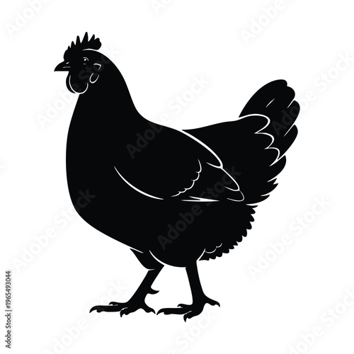 Black silhouette of a domestic hen chicken standing sideways on a white background, a simple graphic illustration.