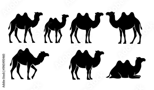 Camel silhouette animal icon vector illustration set