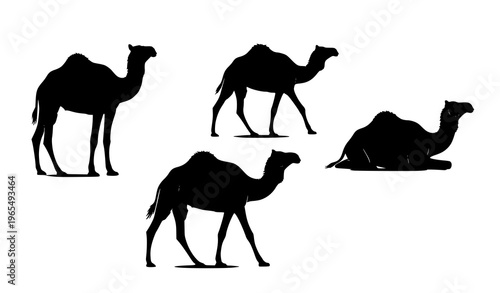 Camel silhouettes vector icons for wildlife and desert illustration