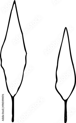 Hand-drawn sketch set of cypress trees in line art isolated on a white background.