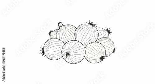 A line drawing depicts a cluster of seven ripe onions on a white background