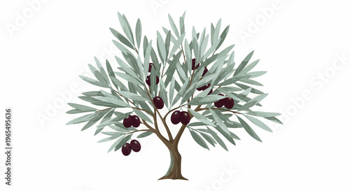 A stylized olive tree with dark fruit and pale green leaves