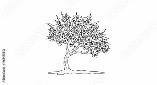 Black and white illustration of a flowering tree with a thick trunk and sprawling branches