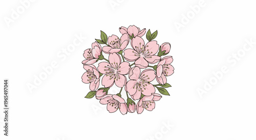 Delicate cluster of light pink blooming flowers with green leaves on a white background