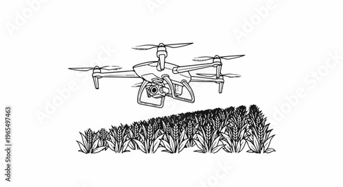 Drone flying over a field of crops