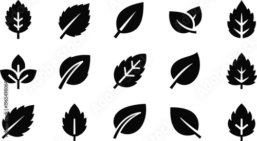 Black leaf silhouettes on white background