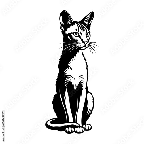 Logotipo con dibujo sencillo con líneas de un gato sentado 