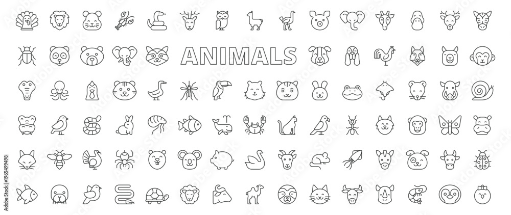 Naklejka premium Animals icons in line design. animals, wildlife, pet, mammal, bird, fish, nature on white background vector. Animals editable stroke icons