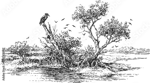 Black and white vintage sketch of a lakeside tree with birds perched and flying around, natural wetland scene