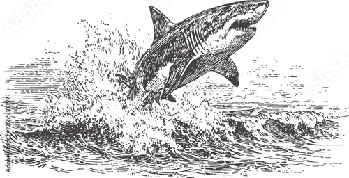 Great white shark breaching ocean waves powerful predatory fish jumping out of water surface