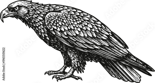 Illustration of a fierce eagle standing side view with detailed feathers and sharp beak