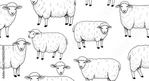 Seamless pattern with hand-drawn sheep in vintage engraving style, flock of fluffy farm animals on white background