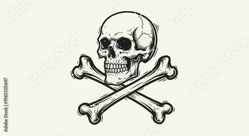 Detailed vintage illustration of a skull and crossbones
