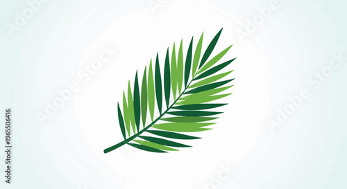 A green palm frond is depicted with varying shades of green on a white background