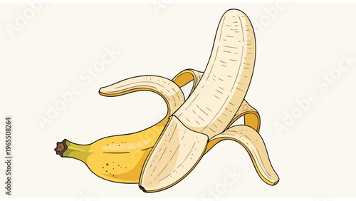 Fresh Peeled Banana Illustration - Healthy Food Ingredient & Fruit
