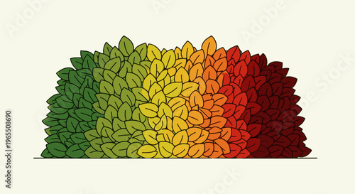 Dense leaves arranged in a semicircle, transitioning from green to red
