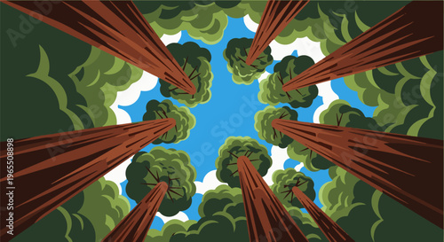 Towering trees reach towards a bright blue sky with fluffy clouds