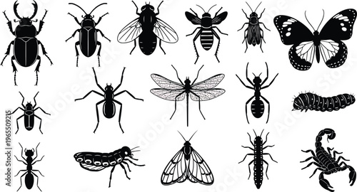Fényképezés Insects Silhouettes on White Background