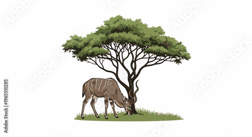 Striped antelope grazes under a sprawling acacia tree in a grassy savanna