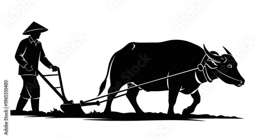 Man plowing field with oxen slowly.