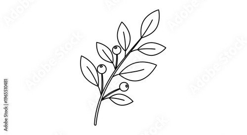 Branch with leaves and small berries.