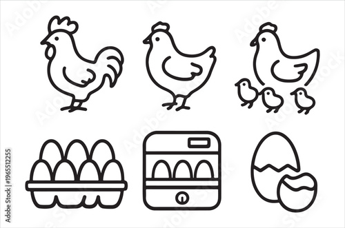 Simple line art depicting chickens eggs and a coop illustration