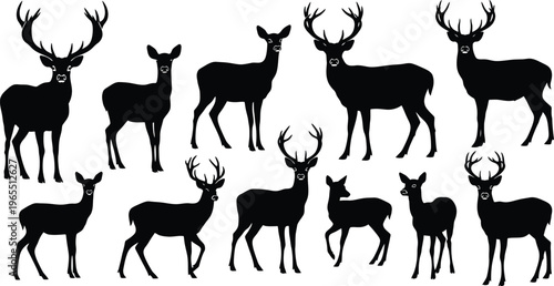 Deer Silhouettes Standing Walking on White Background