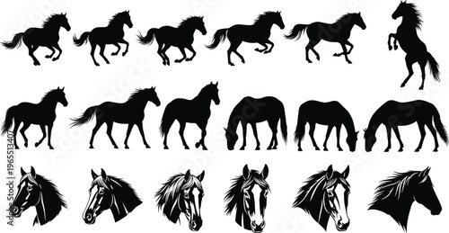 Horse silhouette set, running standing grazing and head portraits collection, animal vector illustration black isolated design wild equestrian bundle