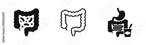 Set of human digestive system icons featuring the large intestine, stomach, and probiotics, symbolizing gut health and medical wellness.
