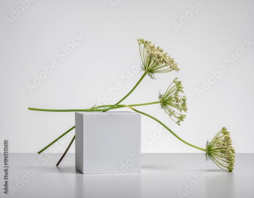 tiga tangkai bunga di atas balok background putih