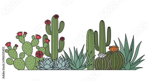 A colorful illustration of various desert cacti and succulent plants