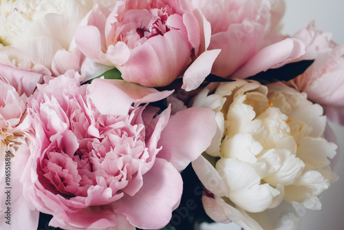 Beautiful bouquet of fresh colorful peonies in full bloom against white background, close-up view. Floral spring still life.