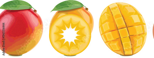 Realistic mango fruit vector set with whole, cross section and diced mango pieces showing texture, juicy details and tropical freshness