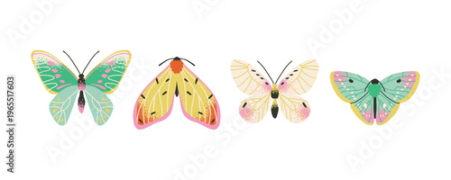 Colorful set of bold butterfly and moth with large bright textured wings. Hand drawn flower insect. Wild nature.