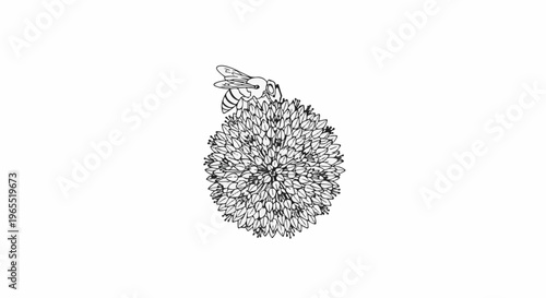 Line drawing of a bee on a round, spiky flower