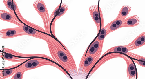 Microscopic view of branched tissue cells with nuclei and connective fibers