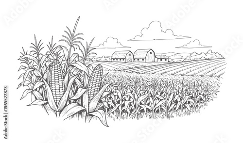 Of a cornfield with barns and rolling hills under a cloudy sky farm rural