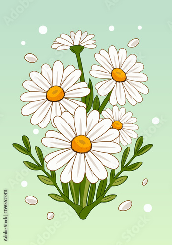 Illustration of chamomile, a fragrant and spring bouquet for the holiday