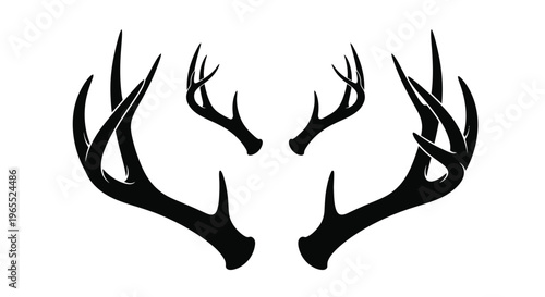 Detailed black antlers against white a striking graphic silhouette