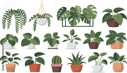 Vector illustration of a diverse collection of potted and hanging indoor houseplants