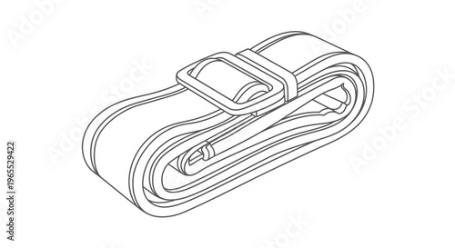 Detailed illustration of a seatbelt.
