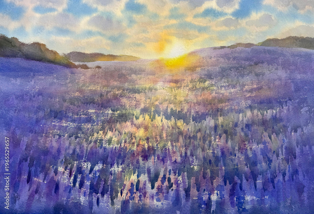 Obraz premium Lupine field blooming in sunset panorama watercolor background